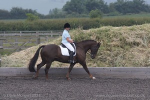 ISIS Dressage Challenge 2008